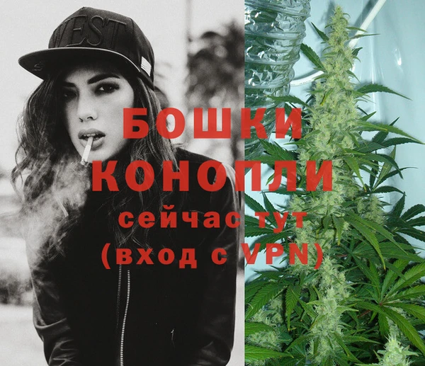 соль ск Рославль