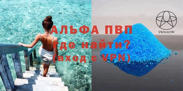 сатива Ростов