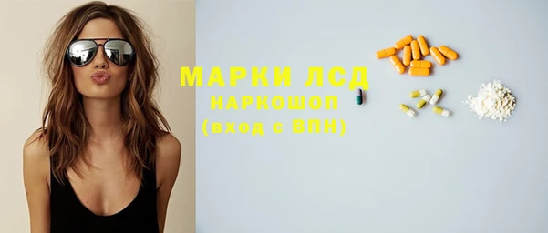 сатива Ростов