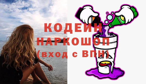 сатива Ростов
