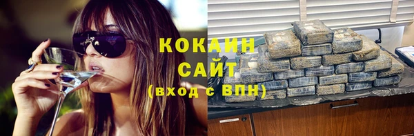 сатива Ростов