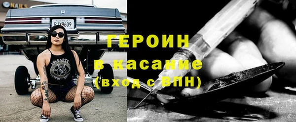 сатива Ростов