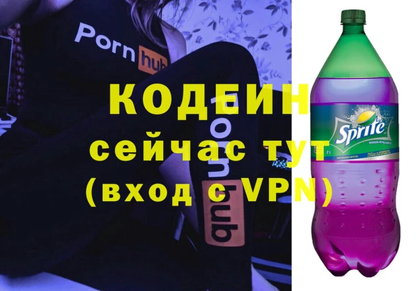 сатива Ростов