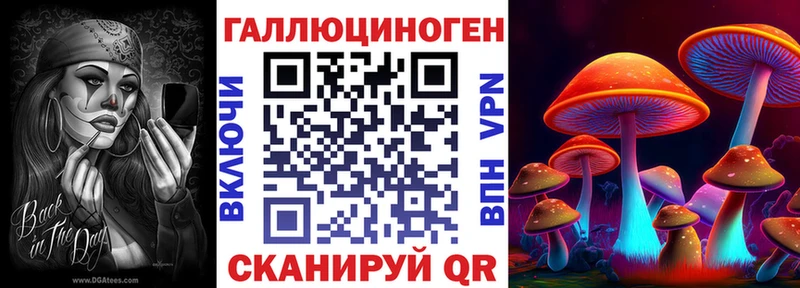 цена   Сухой Лог  Псилоцибиновые грибы Magic Shrooms 