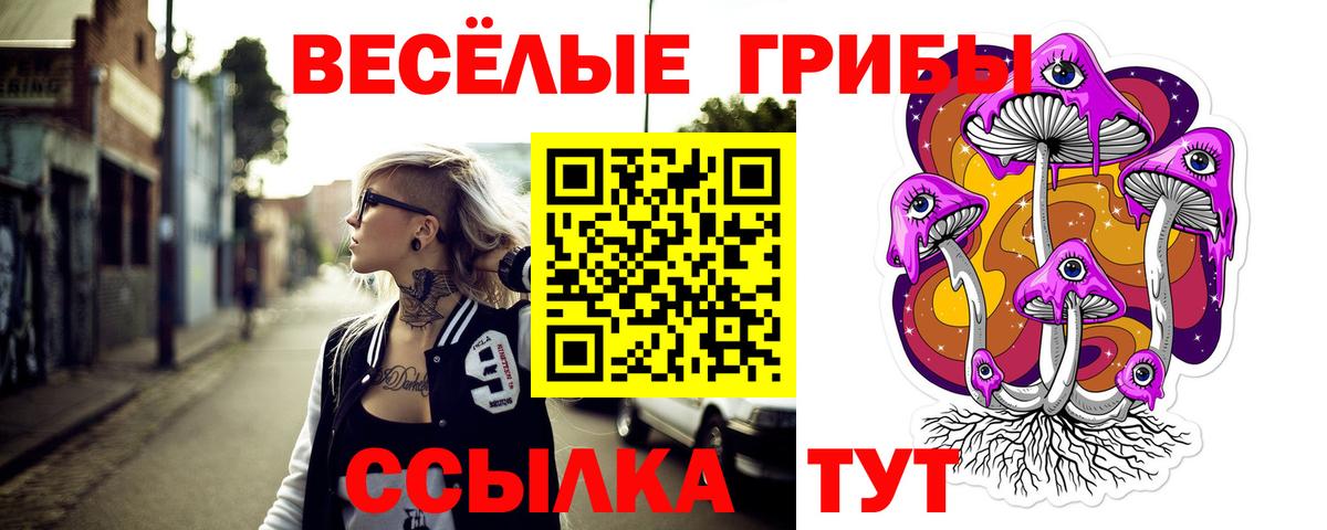 Галлюциногенные грибы ЛСД  Вход с VPN  даркнет сайт  Сухой Лог 