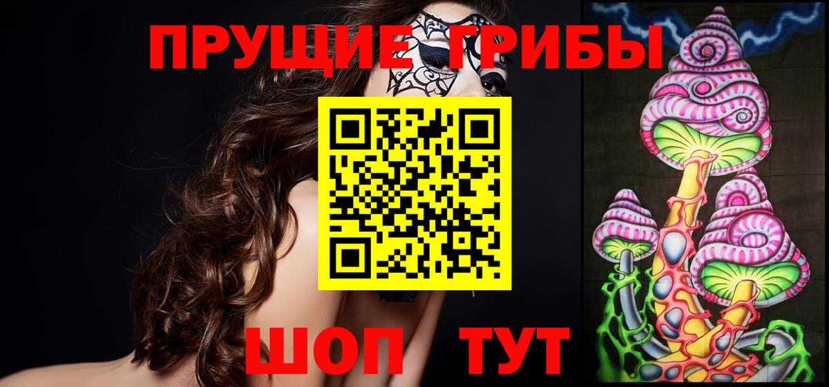 Псилоцибиновые грибы Cubensis Сухой Лог
